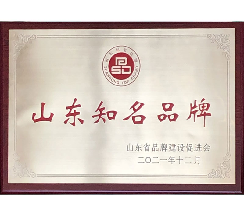 山东知名品牌
